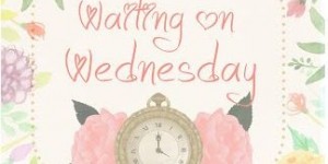 Beitragsbild des Blogbeitrags Waiting on Wednesday