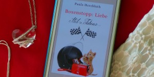 Beitragsbild des Blogbeitrags Buchrezension #105 Boxenstopp: Liebe: Mel & Tobias von Paula Herzbluth