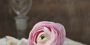 Beitragsbild des Blogbeitrags Bücher-Geschenkideen für den Valentinstag