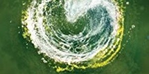 Beitragsbild des Blogbeitrags Buchvorstellung: Die Bestimmung 3 - Letzte Entscheidung von Veronica Roth