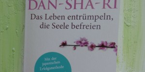 Beitragsbild des Blogbeitrags Buchrezension #151 Dan-Sha-Ri: Das Leben entrümpeln, die Seele befreien: Mit der japanischen Erfolgsmethode Überflüssiges loswerden, Ordnung schaffen, frei sein von Hideka Yamashita 