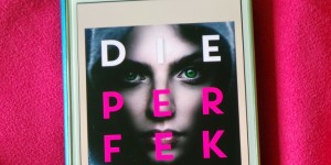 Beitragsbild des Blogbeitrags Buchrezension #161 Die Perfekten von Caroline Brinkmann 
