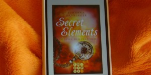 Beitragsbild des Blogbeitrags Buchrezension #181 Secret Elements 4: Im Spiel der Flammen von Johanna Danninger