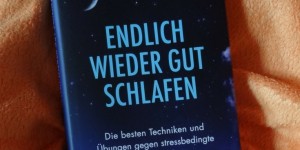 Beitragsbild des Blogbeitrags Buchrezension #192 Endlich wieder gut schlafen: Die besten Techniken und Übungen gegen stressbedingte Schlafstörungen von Gudrun Klein 