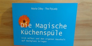 Beitragsbild des Blogbeitrags Buchrezension #208 Die magische Küchenspüle: Sich selbst und den eigenen Haushalt auf Hochglanz bringen von Marla Cilley 