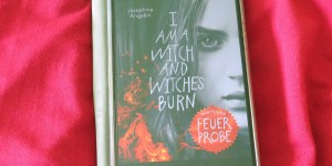 Beitragsbild des Blogbeitrags Buchrezension #236 Everflame 1 - Feuerprobe von Josephine Angelini