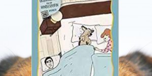 Beitragsbild des Blogbeitrags Buchrezension #262 So isser brav! Aus dem Leben verzweifelter Menschen und ihrer Hunde von Conny Sporrer und Anna Maria Sanders