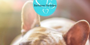 Beitragsbild des Blogbeitrags To-do-Liste für zu Hause - Tipps gegen Langeweile