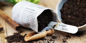 Beitragsbild des Blogbeitrags Anzuchttöpfchen aus Zeitungspapier, Aussaat-Tipps und DIY