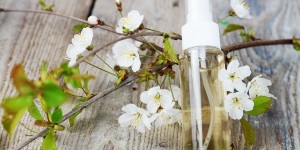 Beitragsbild des Blogbeitrags Erfrischt in den Frühling – natürliches Deo mit Kirschblüten