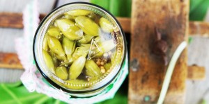 Beitragsbild des Blogbeitrags Bärlauchkapern – den Frühling konservieren