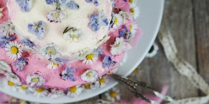Beitragsbild des Blogbeitrags Kandierte Blüten für eine sagenhafte Muttertagstorte