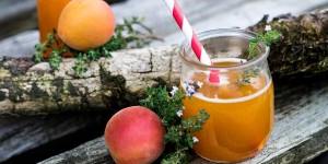 Beitragsbild des Blogbeitrags Thymian-Marillen Limonade, eine Liaison von Süße und Stärke