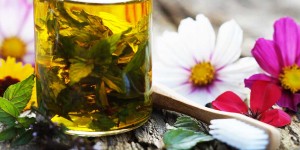 Beitragsbild des Blogbeitrags Wie man durch Ölziehen sein Immunsystem stärken kann & Zahnöl-Rezept 