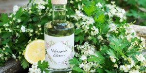 Beitragsbild des Blogbeitrags Einer, der auf unser Herz schaut – der Weißdorn! Rezept für ein Herzwohl-Elixier