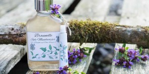 Beitragsbild des Blogbeitrags Lippenherpes-Gel & Mundwasser mit der kleinen Braunelle – Heilkraut im Dornröschenschlaf