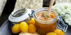 Beitragsbild des Blogbeitrags Köstliches Pflaumen-Chutney, süß-saure Kombi um den Sommer zu konservieren