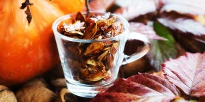 Beitragsbild des Blogbeitrags Der beste Snack für den Herbst – geröstete Kürbiskerne mit Honig 