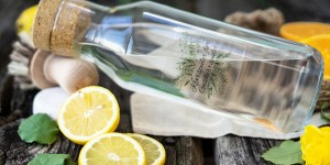 Beitragsbild des Blogbeitrags Natürlich auch im Haushalt: Klarspüler für die Geschirrspülmaschine