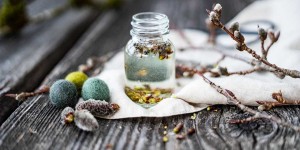 Beitragsbild des Blogbeitrags Waldapotheke: ein Gemmomazerat aus Pappelknospen