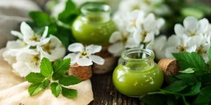 Beitragsbild des Blogbeitrags Gierschsalbe – altes Hausmittel bei Rheuma, Gicht & Arthrose