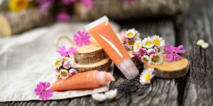 Beitragsbild des Blogbeitrags Pflegender Lipgloss für zarte Lippen mit der Heilkraft des Gänseblümchens