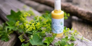 Beitragsbild des Blogbeitrags Frauenmantel in der Kosmetik und herrlicher Gesichts- und Dekolleté Spray
