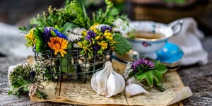 Beitragsbild des Blogbeitrags Kräutersträußchen zum Kochen oder für die Teestunde
