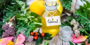 Beitragsbild des Blogbeitrags Herbstlicher Wermut als verdauungsfördernder Aperitif