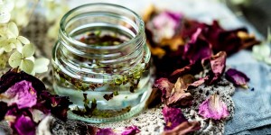 Beitragsbild des Blogbeitrags Wildrosen Gemmomazerat selber machen – Kinderheilmittel und Virenschreck