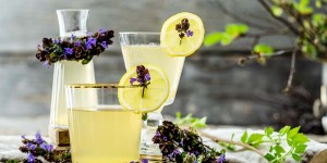 Beitragsbild des Blogbeitrags Gundermann Limonade selber machen – erfrischend und lecker!