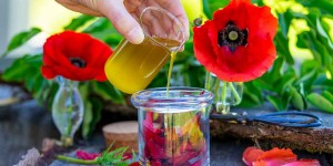 Beitragsbild des Blogbeitrags Mohnblütenöl selber machen – Massageöl bei Verspannungen und Gelenksschmerzen 