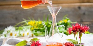 Beitragsbild des Blogbeitrags Goldmelissensirup – Schätze aus dem Garten