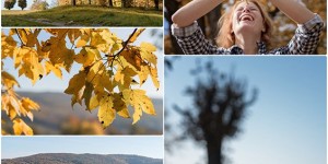 Beitragsbild des Blogbeitrags Herbstliebe 