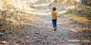 Beitragsbild des Blogbeitrags Wirbelwind im Wald 
