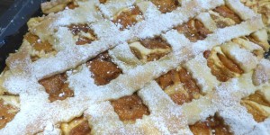 Beitragsbild des Blogbeitrags feine topfenschnitte mit marillen 