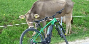 Beitragsbild des Blogbeitrags auf der moststraße unterwegs... 