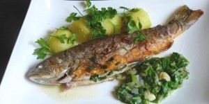 Beitragsbild des Blogbeitrags gebratener bachsaibling mit mangold 