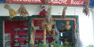 Beitragsbild des Blogbeitrags bootstörn in kroatien - silba, olib und pag