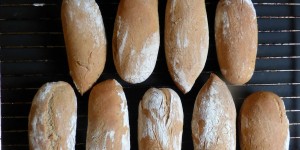 Beitragsbild des Blogbeitrags roggenweckerl mit sauerteig 
