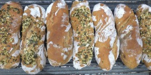 Beitragsbild des Blogbeitrags roggen - topfenweckerl 