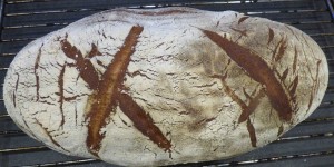 Beitragsbild des Blogbeitrags knuspriges bierbrot 
