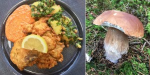 Beitragsbild des Blogbeitrags pilze in bierteig 