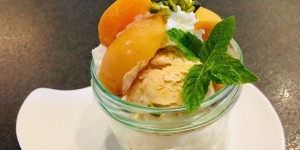 Beitragsbild des Blogbeitrags hausgemachtes marilleneis