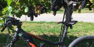 Beitragsbild des Blogbeitrags spätsommer in der wachau