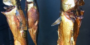 Beitragsbild des Blogbeitrags heiß geräucherte makrelen