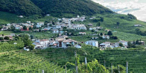 Beitragsbild des Blogbeitrags in der region valdobbiadene - prosecco 