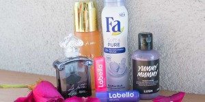 Beitragsbild des Blogbeitrags Fa Soft and Pure – Beauty Favorit des Monats
