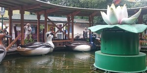 Beitragsbild des Blogbeitrags Familypark Neusiedlersee