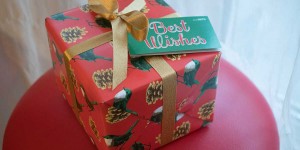 Beitragsbild des Blogbeitrags Lush Best Wishes Weihnachtsbox 